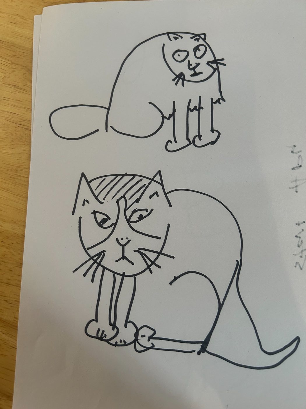 Photo of a paper sketchbook page with two cats drawn in black marker